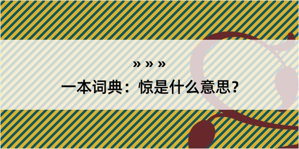 一本词典：惊是什么意思？