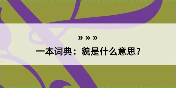 一本词典：貌是什么意思？