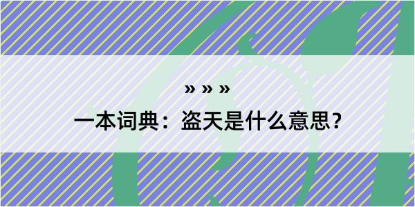 一本词典：盗天是什么意思？