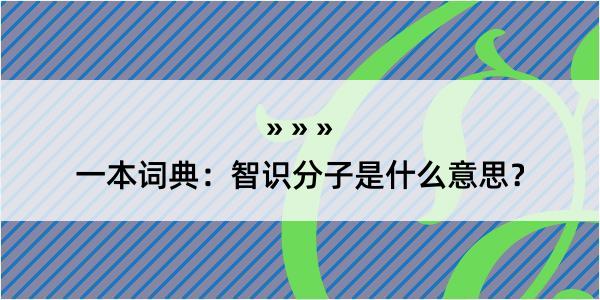 一本词典：智识分子是什么意思？