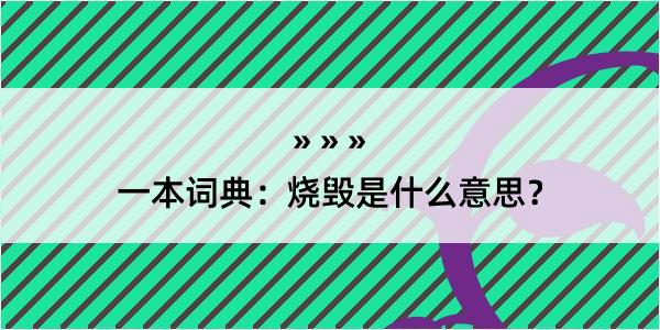 一本词典：烧毁是什么意思？