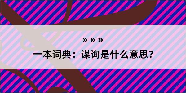 一本词典：谋询是什么意思？