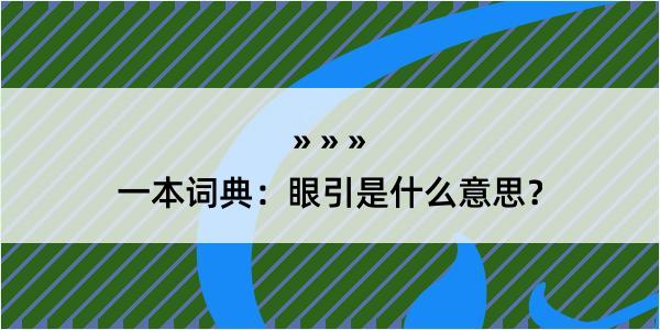 一本词典：眼引是什么意思？