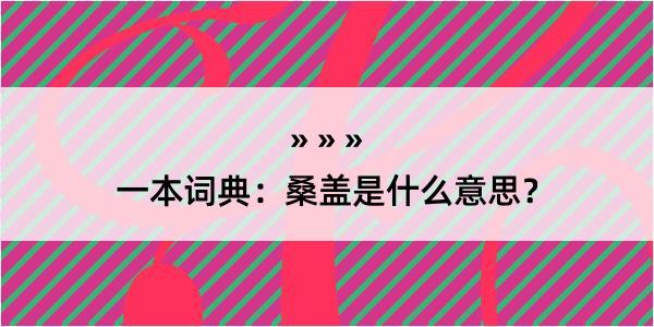 一本词典：桑盖是什么意思？