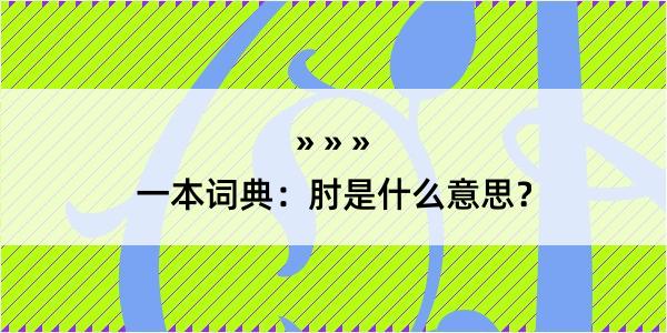 一本词典：肘是什么意思？