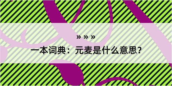 一本词典：元麦是什么意思？