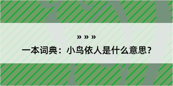 一本词典：小鸟依人是什么意思？