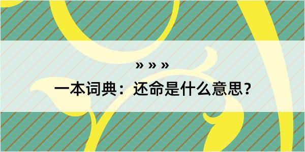 一本词典：还命是什么意思？