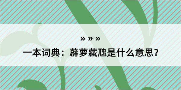 一本词典：薜萝藏虺是什么意思？