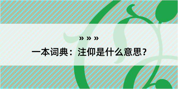 一本词典：注仰是什么意思？