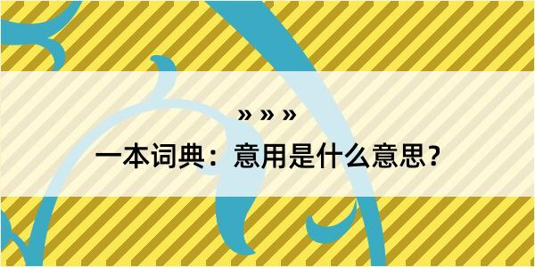 一本词典：意用是什么意思？