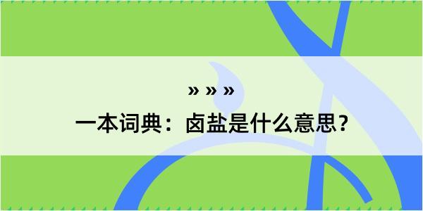 一本词典：卤盐是什么意思？