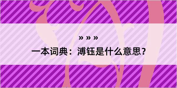 一本词典：溥钰是什么意思？