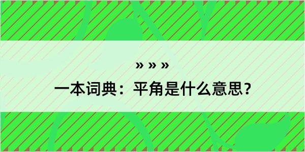 一本词典：平角是什么意思？