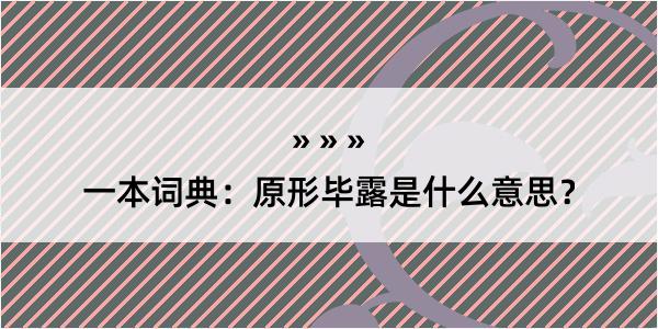 一本词典：原形毕露是什么意思？