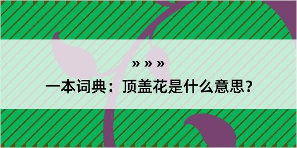 一本词典：顶盖花是什么意思？