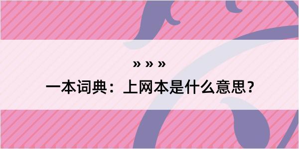 一本词典：上网本是什么意思？