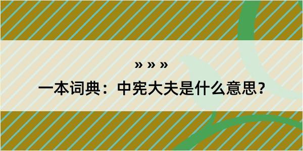 一本词典：中宪大夫是什么意思？