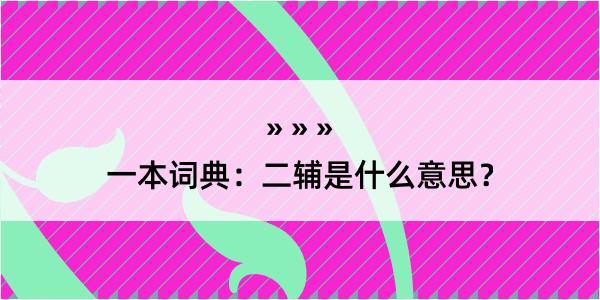 一本词典：二辅是什么意思？