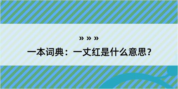 一本词典：一丈红是什么意思？