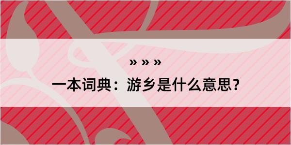 一本词典：游乡是什么意思？