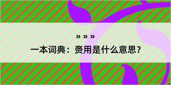 一本词典：赍用是什么意思？