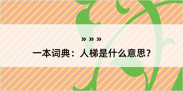 一本词典：人梯是什么意思？