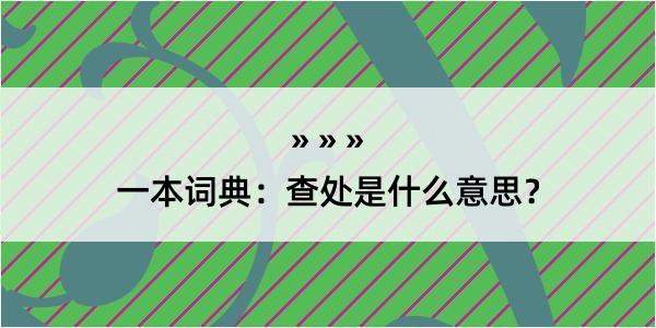 一本词典：查处是什么意思？