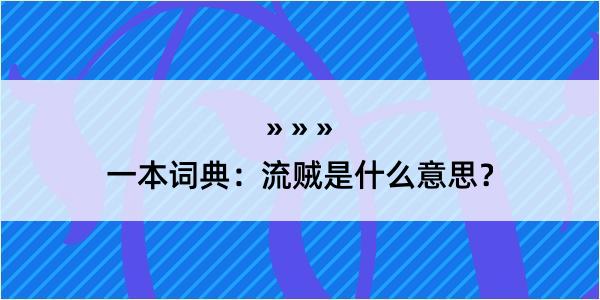 一本词典：流贼是什么意思？