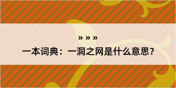 一本词典：一洞之网是什么意思？