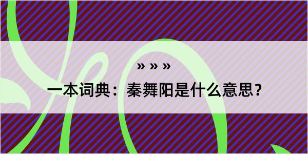 一本词典：秦舞阳是什么意思？