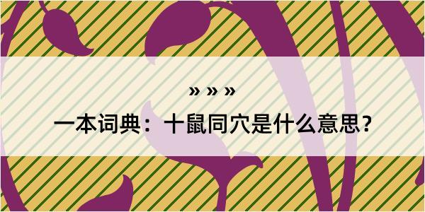 一本词典：十鼠同穴是什么意思？