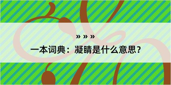 一本词典：凝睛是什么意思？