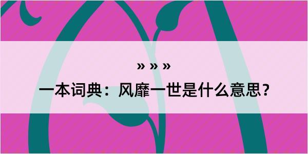 一本词典：风靡一世是什么意思？