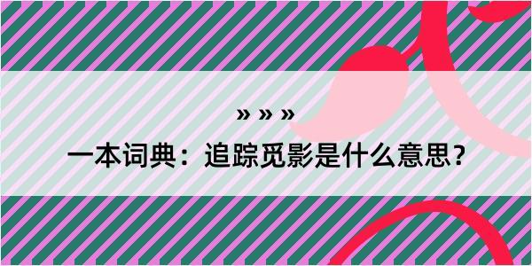 一本词典：追踪觅影是什么意思？