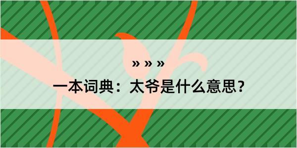 一本词典：太爷是什么意思？