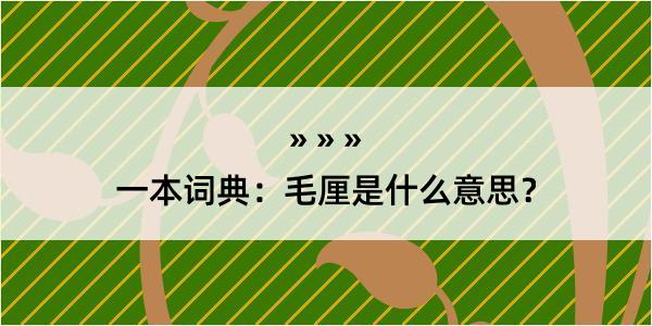 一本词典：毛厘是什么意思？