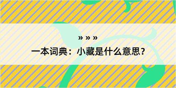 一本词典：小藏是什么意思？