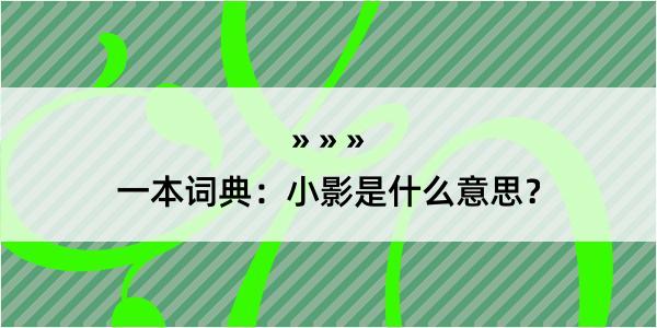 一本词典：小影是什么意思？