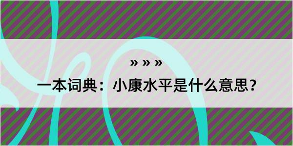 一本词典：小康水平是什么意思？