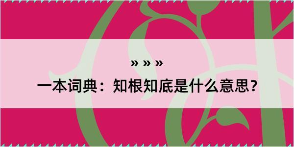 一本词典：知根知底是什么意思？