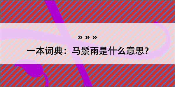 一本词典：马鬃雨是什么意思？