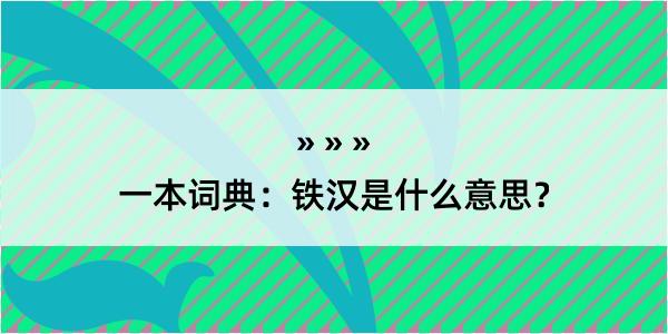 一本词典：铁汉是什么意思？