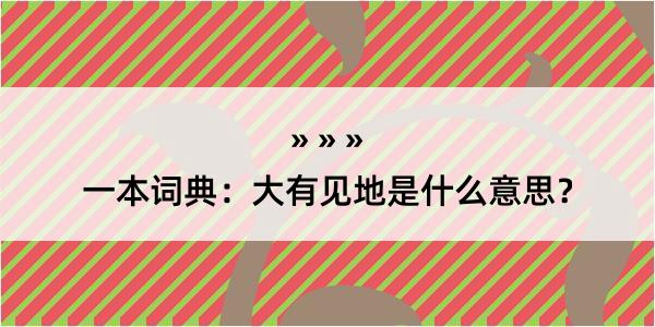 一本词典：大有见地是什么意思？