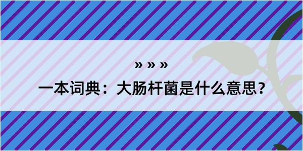 一本词典：大肠杆菌是什么意思？