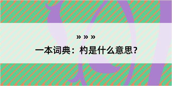 一本词典：杓是什么意思？