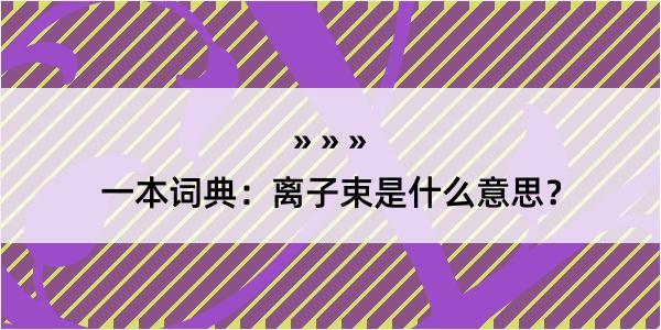 一本词典：离子束是什么意思？