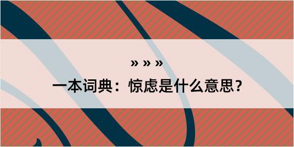 一本词典：惊虑是什么意思？