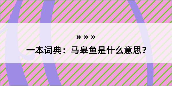 一本词典：马皋鱼是什么意思？