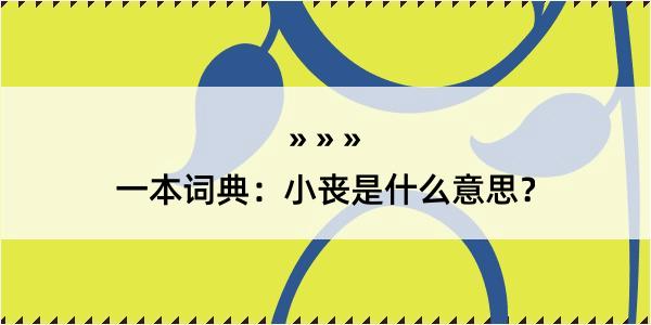 一本词典：小丧是什么意思？